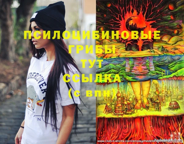 первитин Абинск