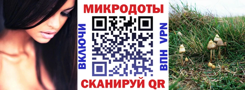 наркота Нижнекамск Псилоцибиновые грибы ЛСД
