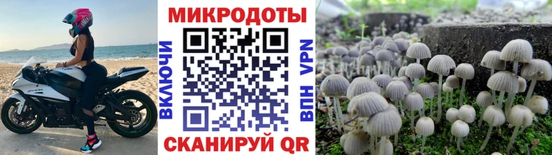 Галлюциногенные грибы мицелий Нижнекамск